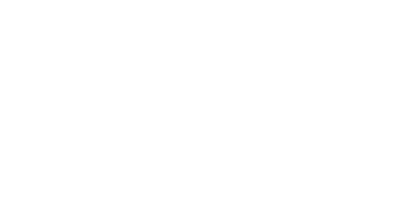 Chinadvisory logo